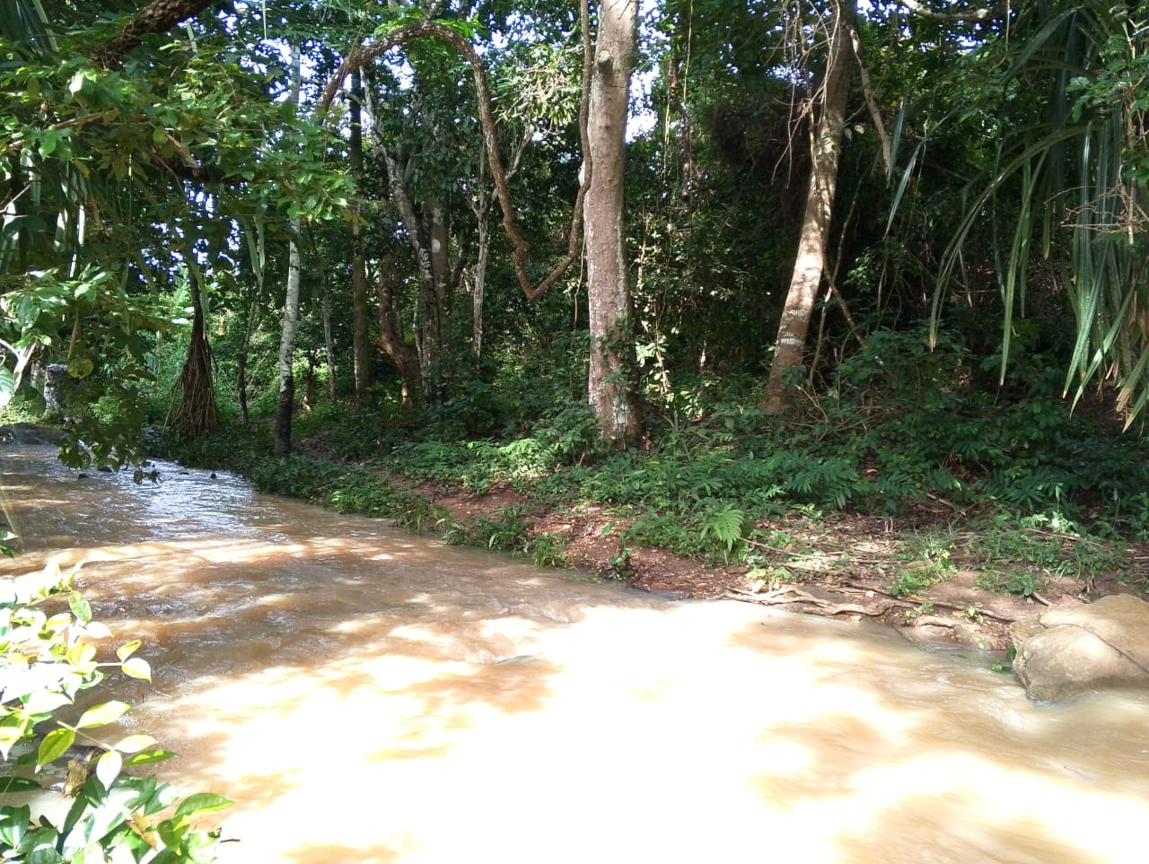 L'EAU